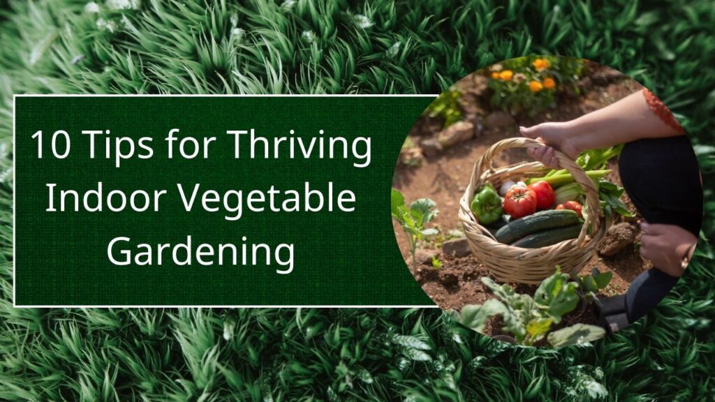 10 Tips for Thriving Indoor Vegetable Gardening